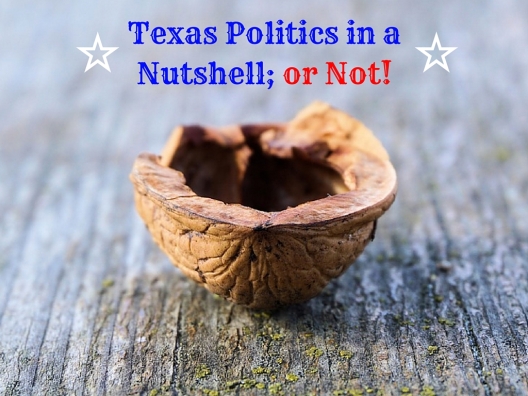 Texas Politics in a Nutshell-2